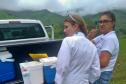 Paraná está há quase três anos sem registrar casos de febre amarela em humanos