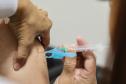 Em 30 dias de campanha, Paraná ultrapassa 1 milhão de vacinas contra a gripe aplicadas
