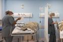 Um mês após abertura do centro cirúrgico, Hospital Regional de Ivaiporã realizou 253 operações