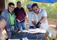 Sesa realiza ações de coleta de toxinas de peixes peçonhentos