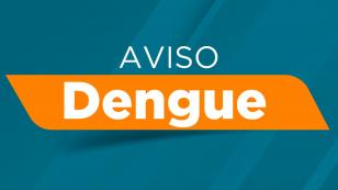 Boletim semanal da dengue registra 462 novos casos da doença