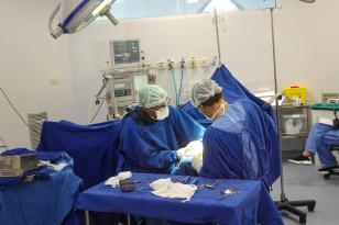Segundo dados da Secretaria de Estado da Saúde (Sesa), o Paraná registrou um aumento de mais de 41% no número de cirurgias eletivas realizadas no último ano.