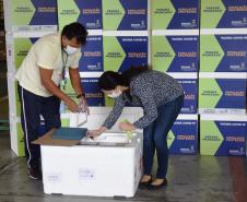 Paraná recebe novo lote de vacina e amplia imunização de profissionais da saúde