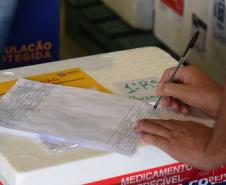 Paraná garante vacina para 90% dos trabalhadores da saúde