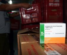 Paraná recebeu neste sábado mais 240,4 mil doses da vacina contra a Covid-19