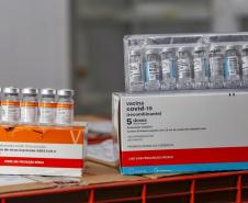 Lote de vacinas no Paraná