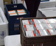 Paraná recebe novo lote com 244,8 mil vacinas contra a Covid-19