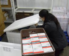 Paraná recebe novo lote com 244,8 mil vacinas contra a Covid-19
