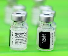 Nova distribuição de vacinas da Pfizer inclui nove municípios do Paraná