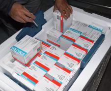 Paraná recebe 352,7 mil doses da vacina AstraZeneca