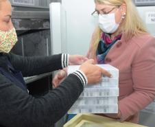 Paraná recebe 234 mil vacinas contra a Covid-19; doses da Pfizer vão para os 399 municípios