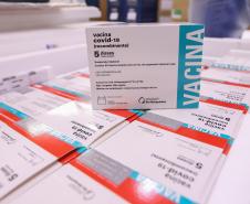 Mais 451 mil doses de vacinas contra a Covid-19 chegam ao Paraná 