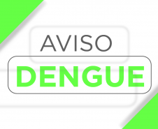 Com 174 novas confirmações, Paraná ultrapassa mil casos de dengue em dois meses