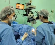 Comboio da Saúde atende 58 pessoas com cirurgias de catarata em Londrina