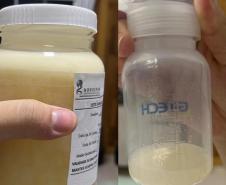 Doações de leite atenderam 11 mil bebês no Paraná em 2023; rede cobre todo o Estado