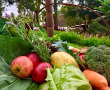Oscilação de temperaturas reforça necessidade de cuidados com a saúde