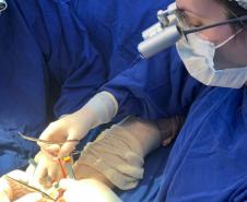 Paraná prorroga isenção de ICMS para insumos médicos de procedimentos complexos