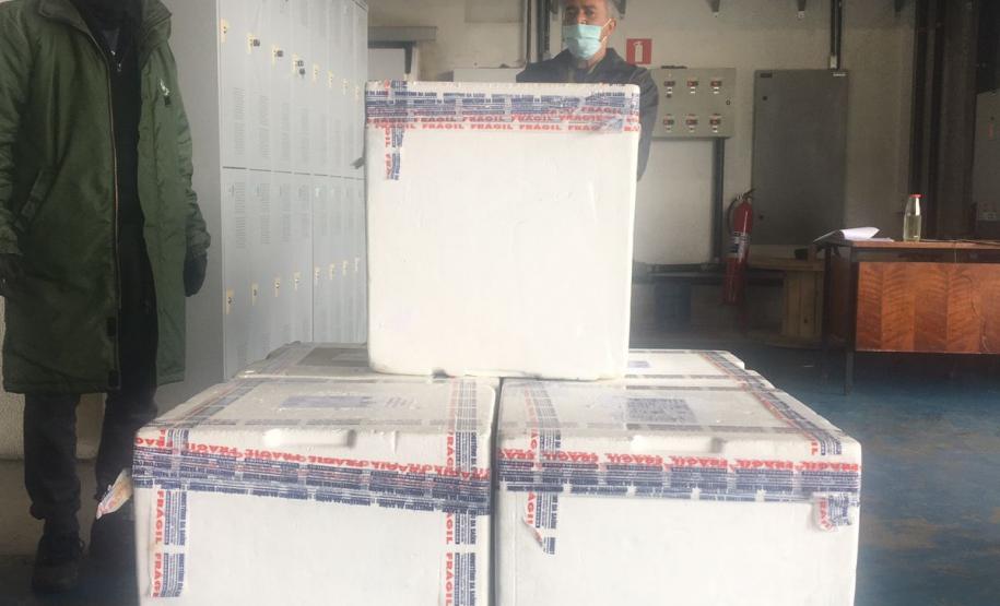 Estado recebe mais 30,4 mil vacinas contra a Covid-19 nesta quarta