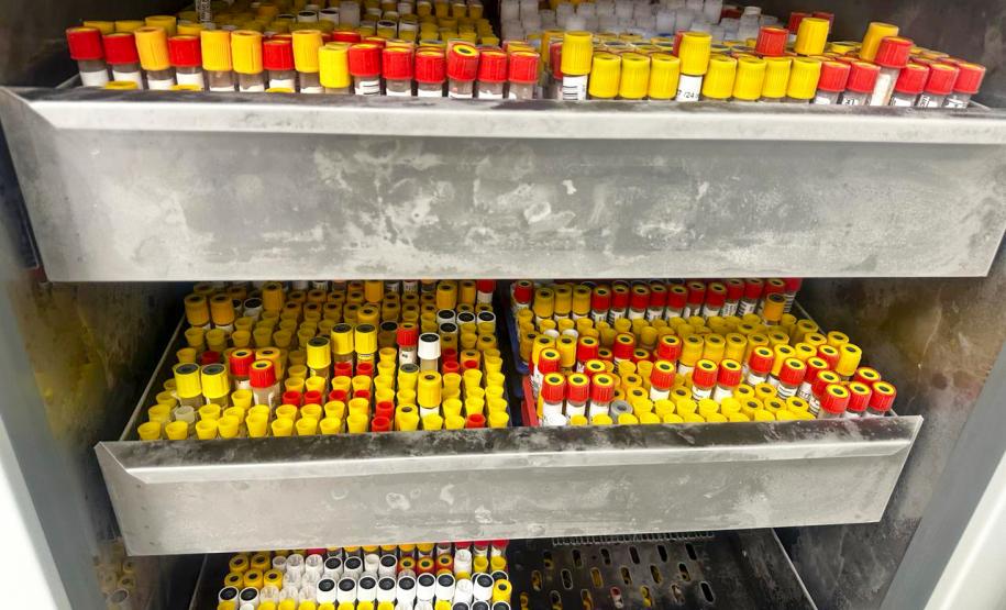 Diferentes métodos e tecnologia: saiba como são confirmados os casos de dengue no Paraná