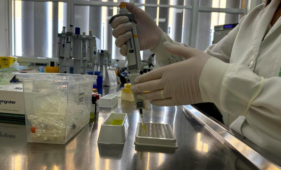 Diferentes métodos e tecnologia: saiba como são confirmados os casos de dengue no Paraná