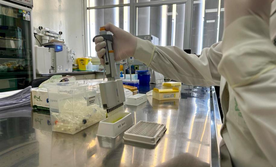 Diferentes métodos e tecnologia: saiba como são confirmados os casos de dengue no Paraná