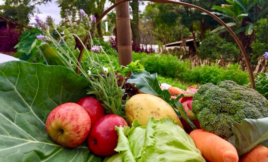 Oscilação de temperaturas reforça necessidade de cuidados com a saúde